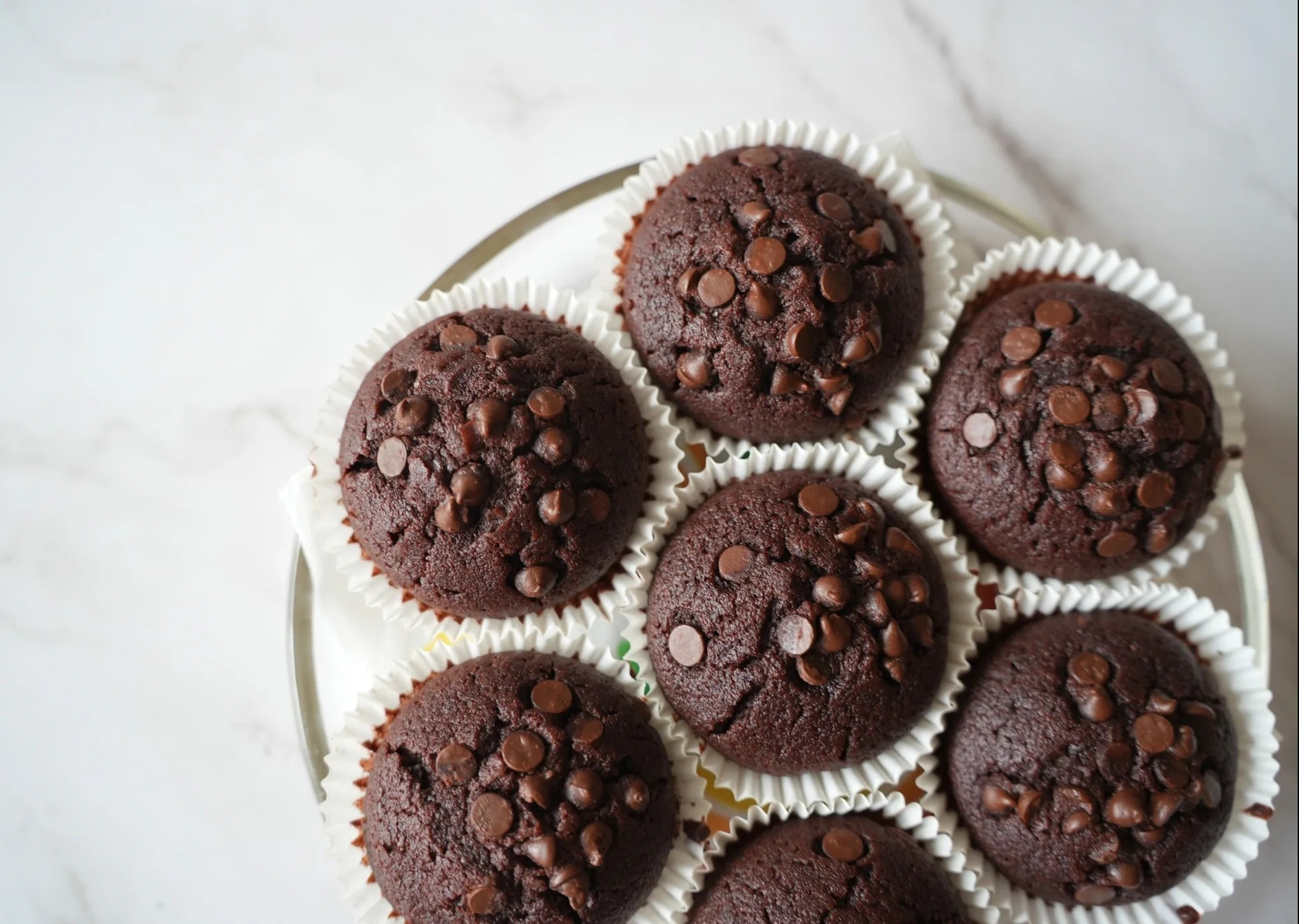 Double Chocolate Chip